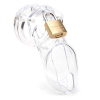 CB-6000 Chastity Cage