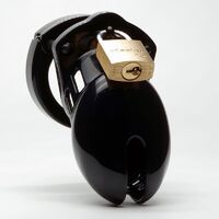Cb 6000S Chastity Cage