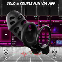 APP Control Vibrating Chastity Cage Cock Cage Devices with 10 Vib