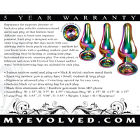 Rainbow Metal Anal Training Kit