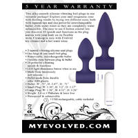 Dynamic Duo Vibrating Butt Plugs