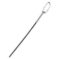Insane Cane