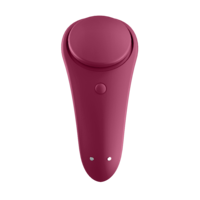 Sexy Secret Panty Vibrator