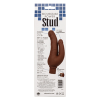 Power Stud Dual Entry VIbrator