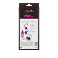Her Kegel Kit