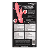 5" Pasadena Player Rabbit Vibrator