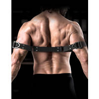 Premium Bicep Binder