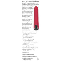4" Diablo Bullet Vibrator