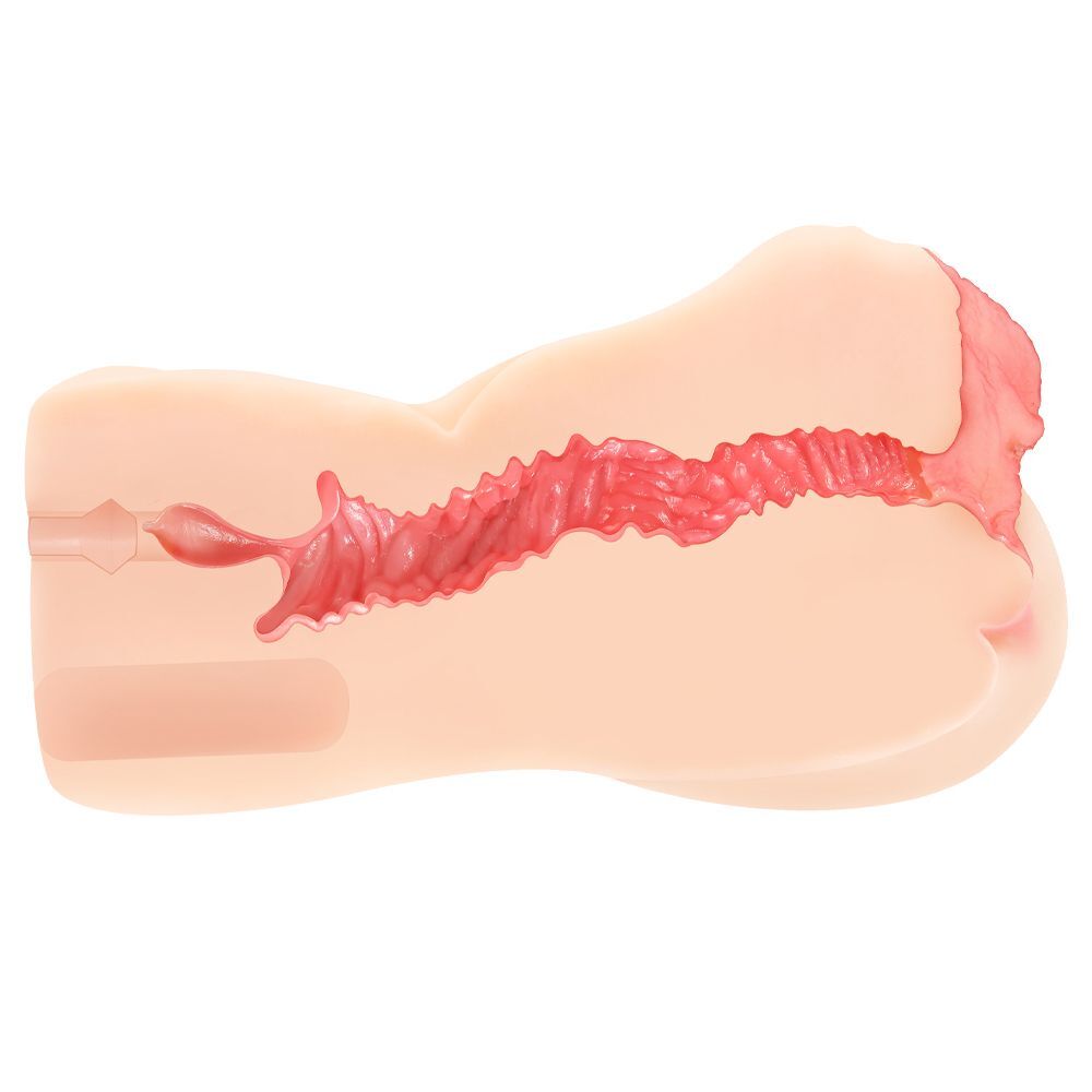 Large View Vanilla Onahole Edn 4 Dual Layer 1:1 Handheld Pussy Masturbator