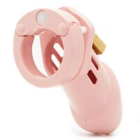 Cb 6000 Chastity Cage