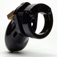 Cb 6000S Chastity Cage