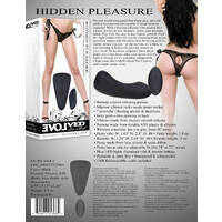 Hidden Pleasure Vibrating Panties