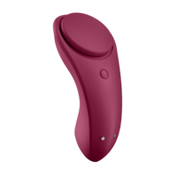 Sexy Secret Panty Vibrator