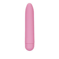 Mini Vibrator 4"