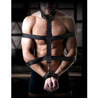 Premium Body Binder