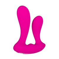 Dual Entry Remote Vibrator