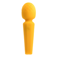 Sunshine Wand Massager