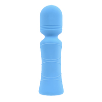 Evolved Out Of The   10.5cm Usb Rechargeable Mini Massager Wand