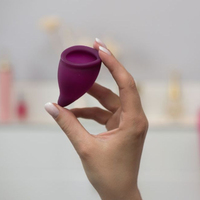 Fun Cup Size B