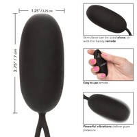 Remote Egg Vibrator