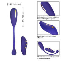 Kegel Exerciser + E Stim