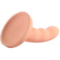 6" Ren Dildo