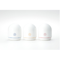 Temari Kaze Japanese Clit Stimulator