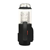 Thrusting Automatic Stroker