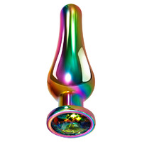 Rainbow Metal Anal Training Kit