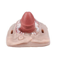 Sex Grinding