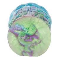 Jellyfish  Pussy