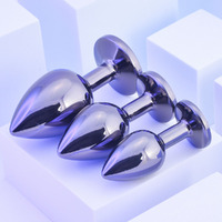 Premium Metal Anal Trainer Kit