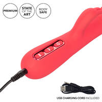 4" Pulse Rabbit Vibrator