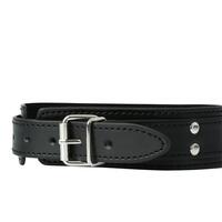 Collar with Nipple Clamps