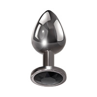 Metallic Anal Trainer Kit