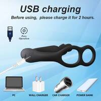 Remote Prostate Massager