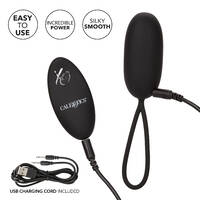Remote Egg Vibrator