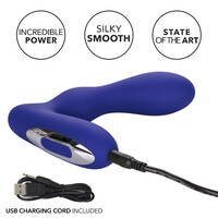 Pleasure Probe Prostate Massager