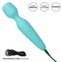 Intimate Wand Massager