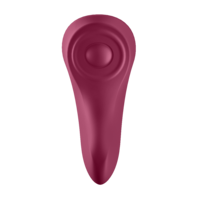 Sexy Secret Panty Vibrator