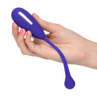 Kegel Exerciser + E Stim