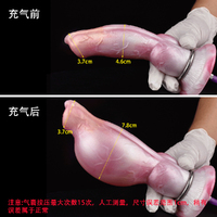 7.7'' Chihuahua  Anal plug