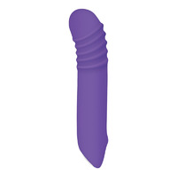 The G-Rave G-Spot Vibrator