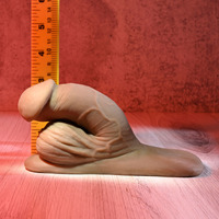 4" Silicone Packer