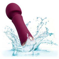Romance Wand Massager