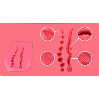 Cherry Mini Hip + Pussy
