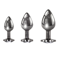 Premium Metal Anal Trainer Kit