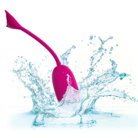 Rechargeable Kegel Teaser