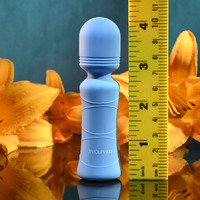 Evolved Out Of The   10.5cm Usb Rechargeable Mini Massager Wand