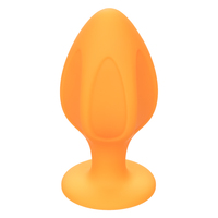 Cheeky Butt Plug Kit